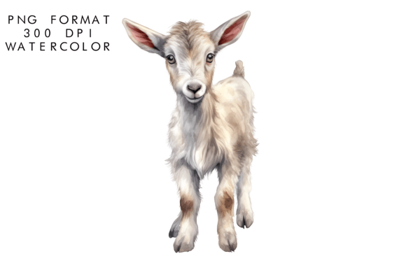 Download Watercolor Cute Baby Goat Clipart - Premium Resources