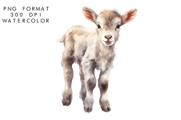 Download Watercolor Baby Goat Sublimation - Premium Resources